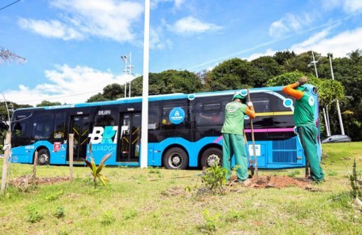 Salvador avança com novo plantio de árvores ao longo do BRT