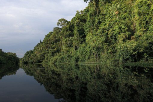 Brasil tem 3 novos projetos aprovados pelo Fundo Verde do Clima