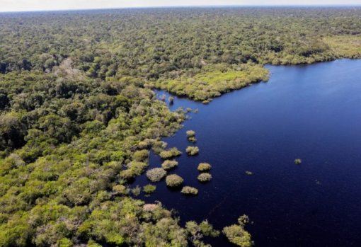 Fundo Amazônia aprova R$ 2 bilhões em 2025
