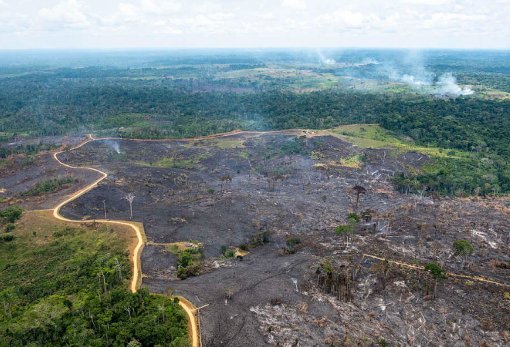 Alertas de desmatamento caem 35% na Amazônia e 6% no Cerrado