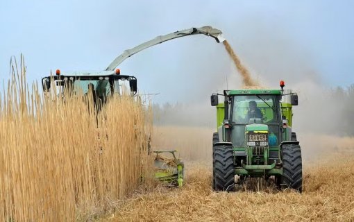 Raízen recebe aval do Cade para comprar fatia da Sumitomo