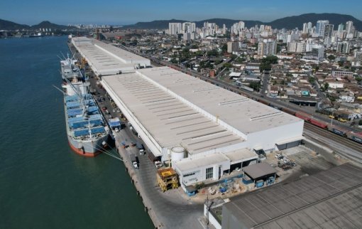 Suzano embarca 5,8 milhões de toneladas de celulose em Santos