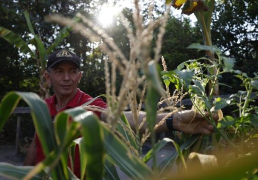 Fundo Amazônia destina R$ 53 mi para regulação fundiária