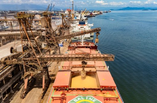 Soja e carnes impulsionam operações nos portos do Paraná