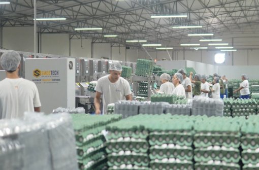 Suape abre nova rota com maior exportação de ovos de Pernambuco