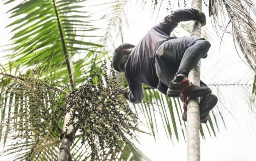 Governo investe R$ 132 mi em regularização fundiária na Amazônia