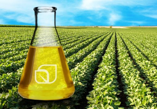 Aprobio e Abiove criam a Aliança Biodiesel