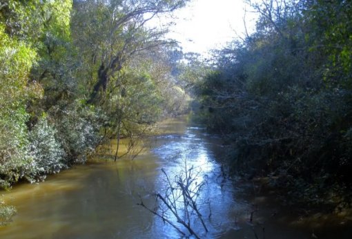 BNDES investe na restauração da Floresta Nacional de Irati