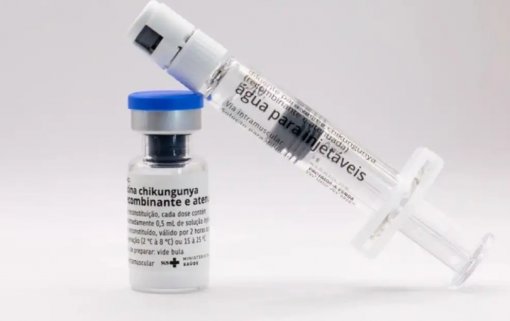 Butantan produzirá vacina nacional contra Chikungunya