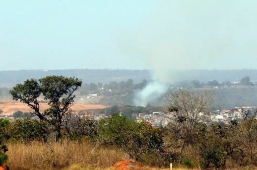 MMA lança edital para arborizar periferia de pequenas cidades