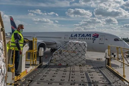 Latam lidera o transporte de flores na América do Sul