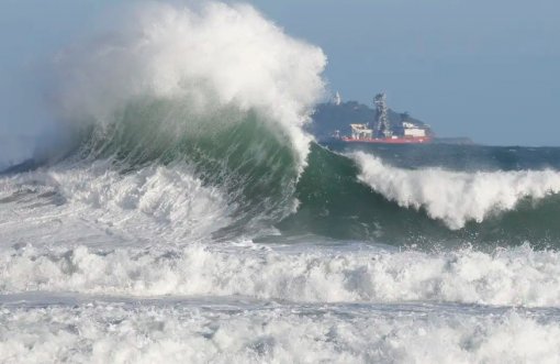Natureza ajuda a reduzir efeitos extremos climáticos nas cidades