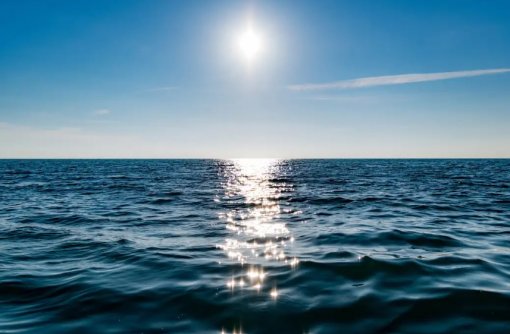 Carbono azul ganha espaço na agenda climática dos oceanos