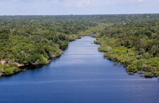 Fundo Amazônia completa 18 anos com R$ 5,3 bilhões em doações