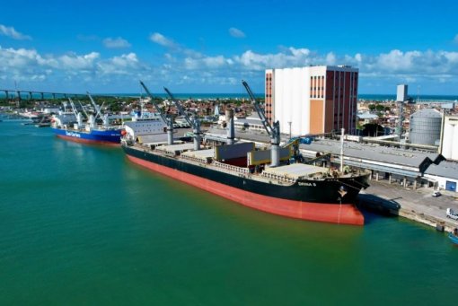 Porto de Natal é habilitado para exportar gado vivo