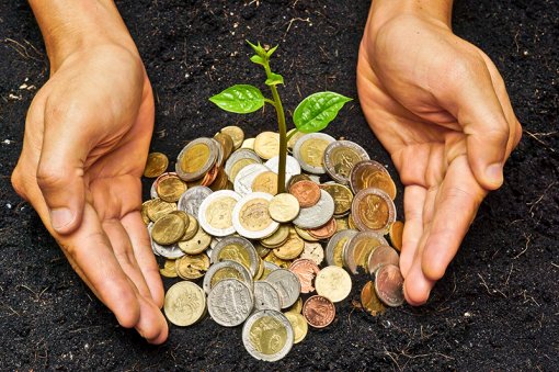 Setor da sociobioeconomia movimenta R$ 2,7 trilhões no Brasil