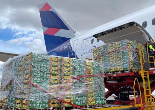Latam Cargo amplia em 42% o transporte aéreo de frutas do Brasil