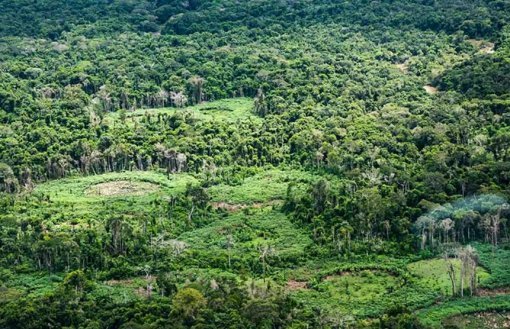 Indígenas catalogam espécies para proteger biodiversidade