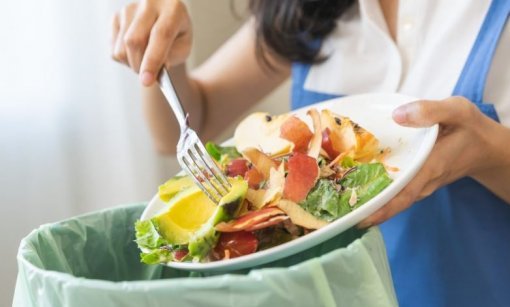 Embrapa e MDS lançam projeto “Sistemas alimentares circulares”