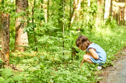 Lei reforça direito de crianças e adolescentes à natureza