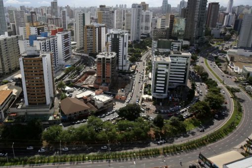 Apenas 45,5% dos brasileiros têm 3 ou mais árvores perto de casa