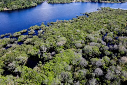 Desmatamento cai em áreas protegidas da Amazônia e do Cerrado