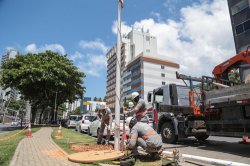 Imagem da notícia