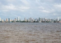 Imagem da notícia