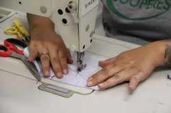 Imagem da notícia